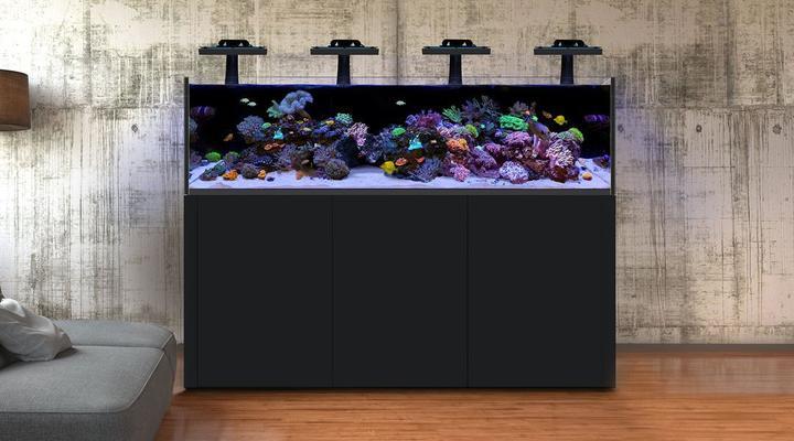 コレクション – アクアギフト-水槽館