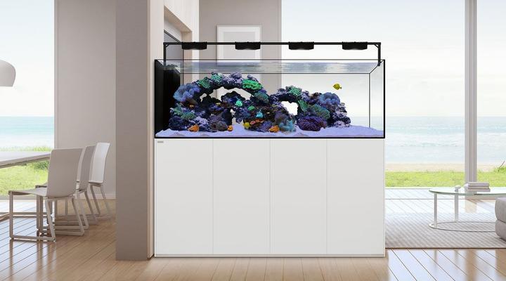 コレクション – アクアギフト-水槽館