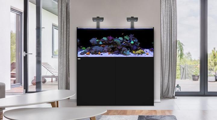 コレクション – アクアギフト-水槽館